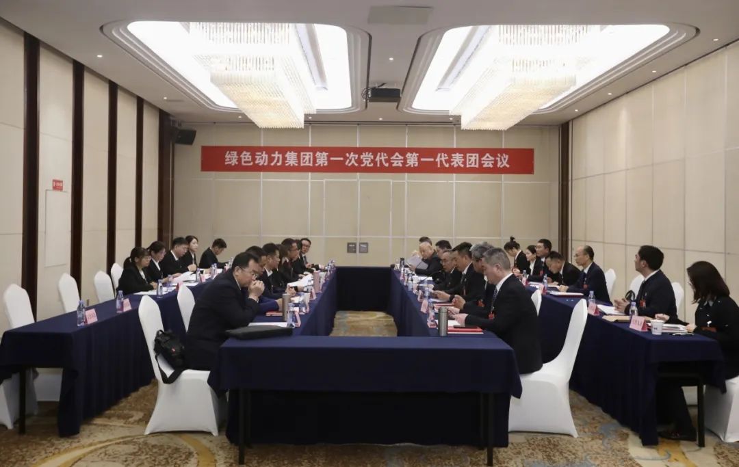 铭刻使命再出发，，，，，，，代表热议“两委”报告