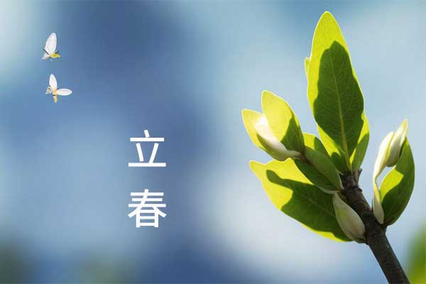 ��ҳ| G22��弯���й��ٷ���վ