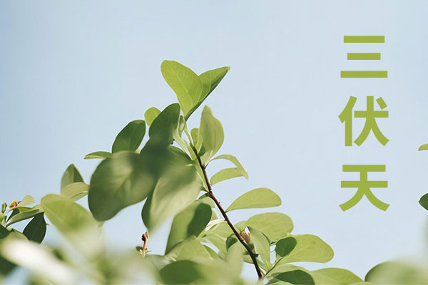 ��ҳ| G22��弯���й��ٷ���վ