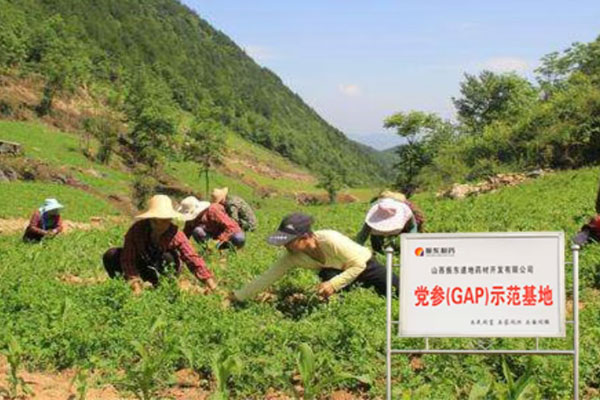 G22���,G22�����ҩ��,��ҩ��