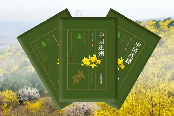��ҳ| G22��弯���й��ٷ���վ